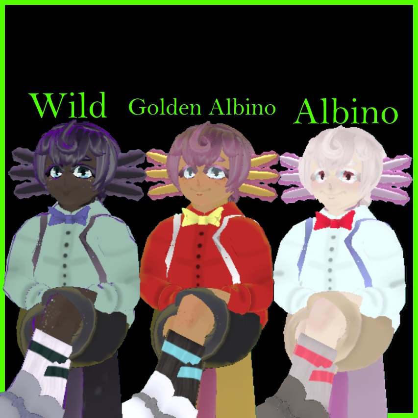 (Original 3D Model) Milo the axolotl