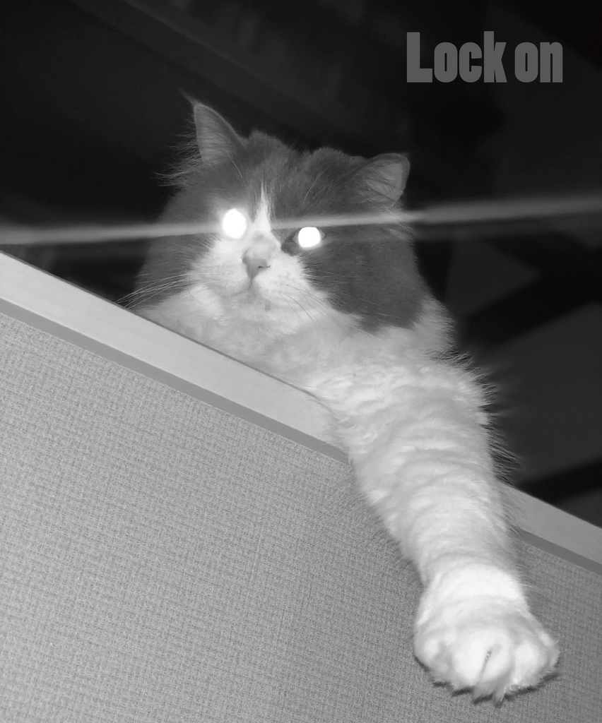 Lock on 猫Tシャツ