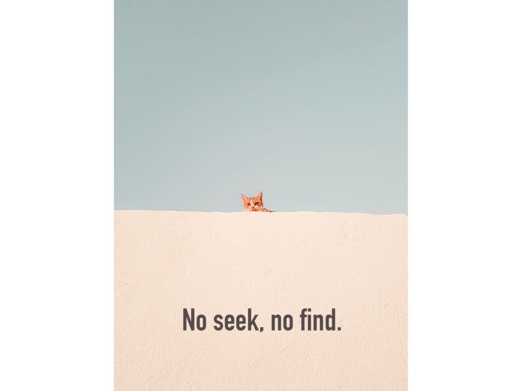 エモ猫 Tシャツ