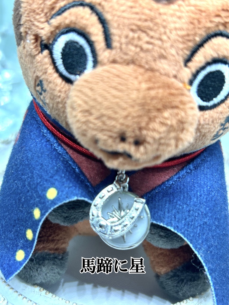 金カム*どうぶつフォーゼ向きチャーム