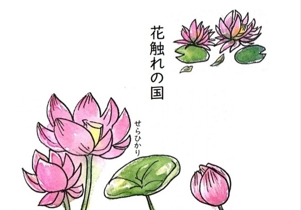 花触れの国