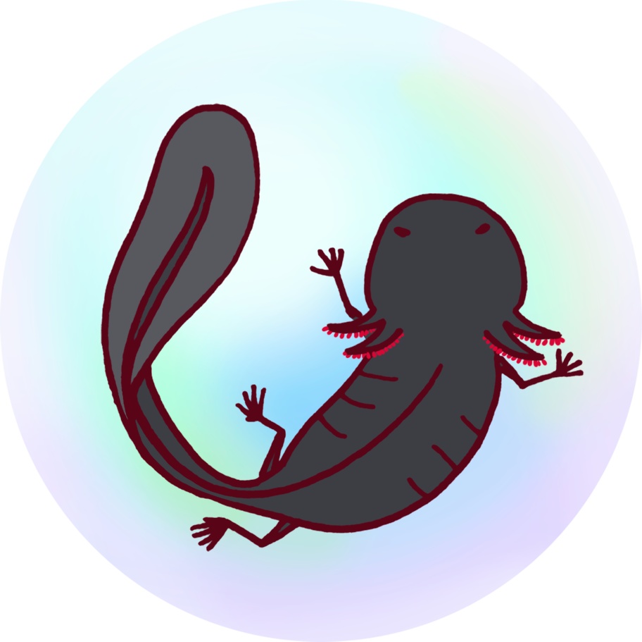 シャボン玉ウパアクキー・ブラック