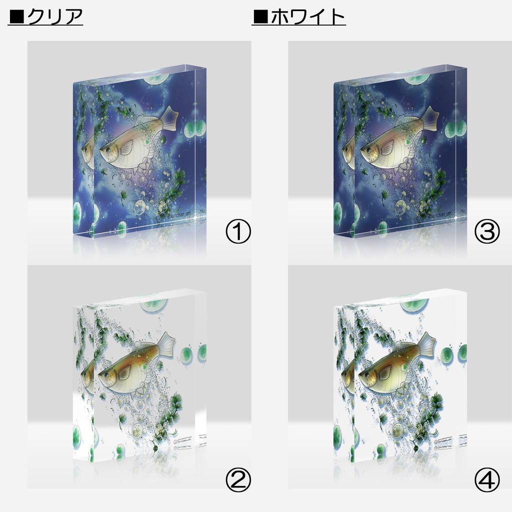 【アクリルブロック】めだか宇宙