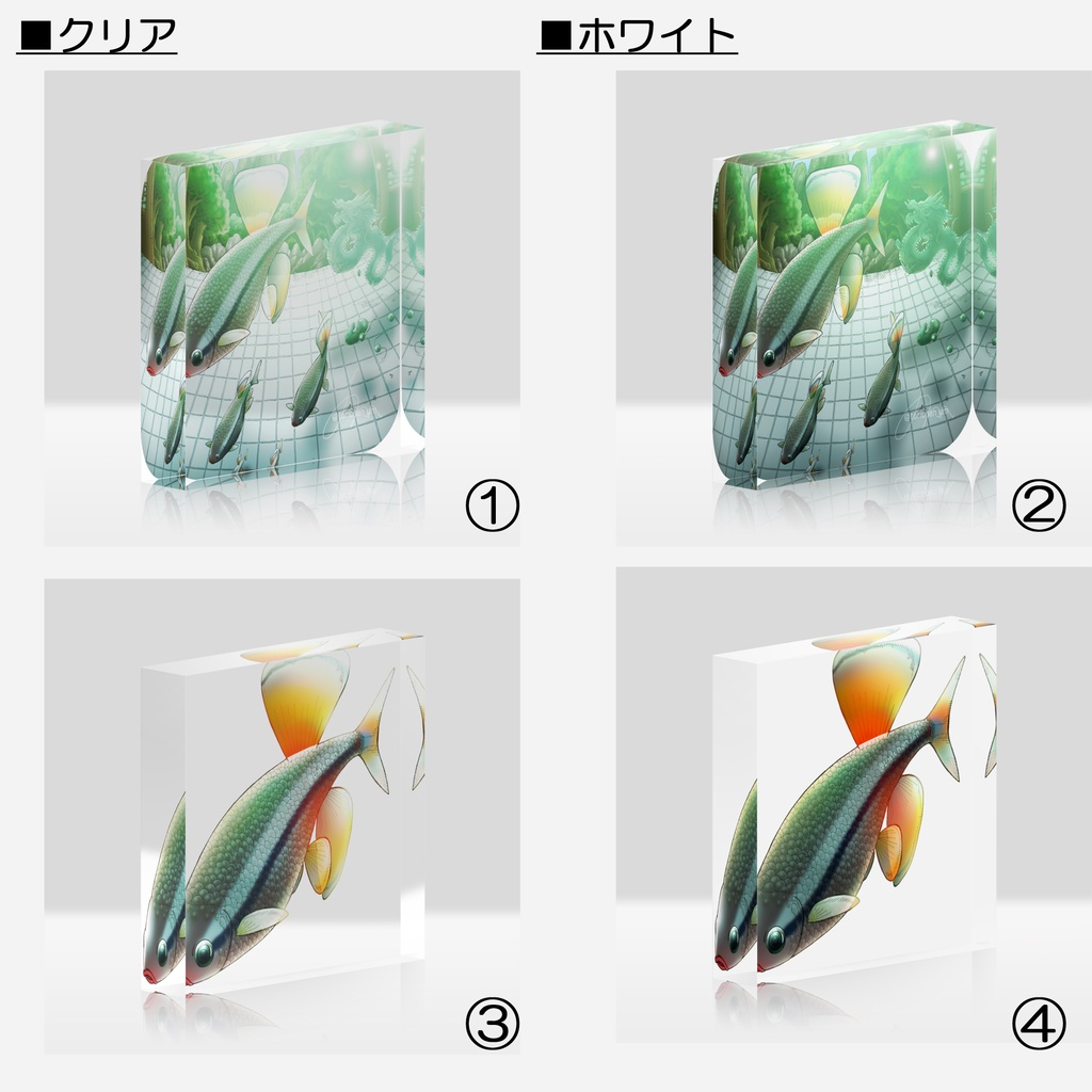 【アクリルブロック】アカヒレ