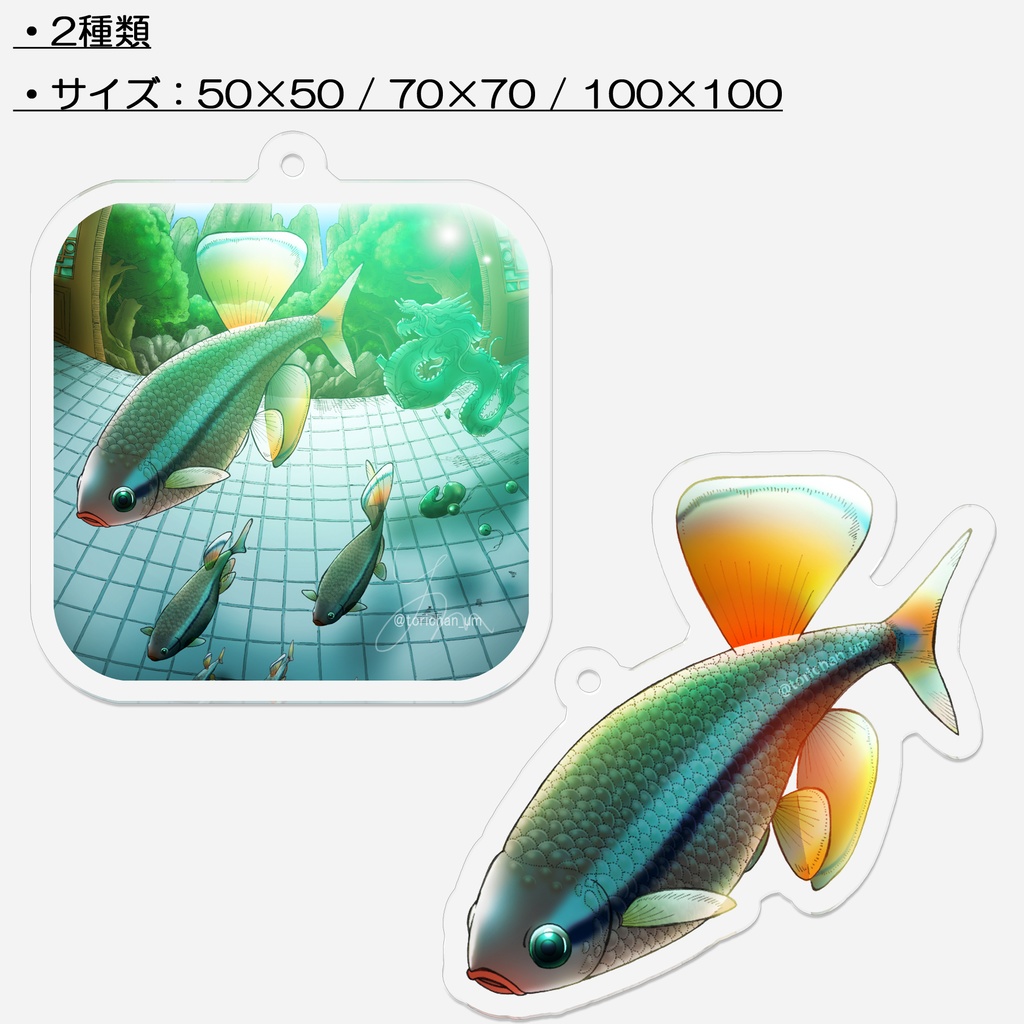 【キーホルダー】アカヒレ【裏コーティングあり】