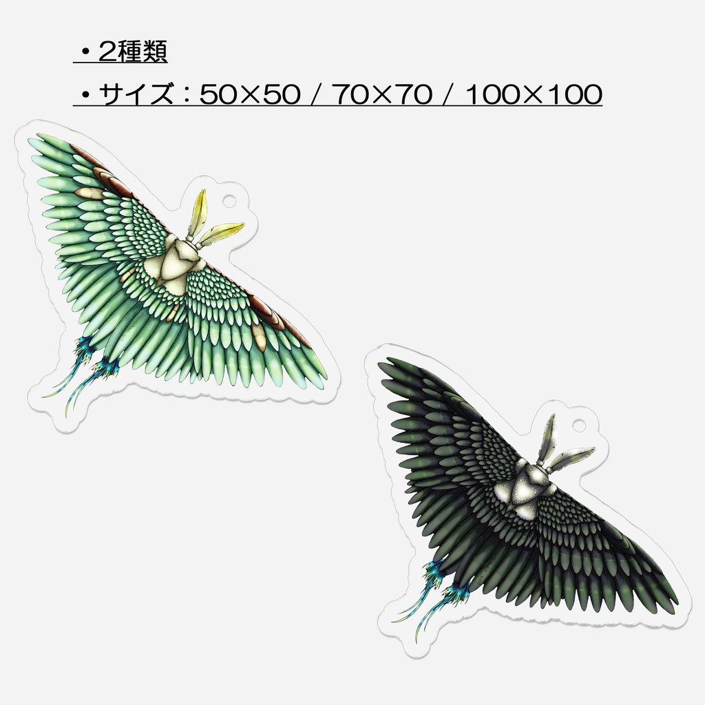 【キーホルダー】蛾【裏コーティングあり】