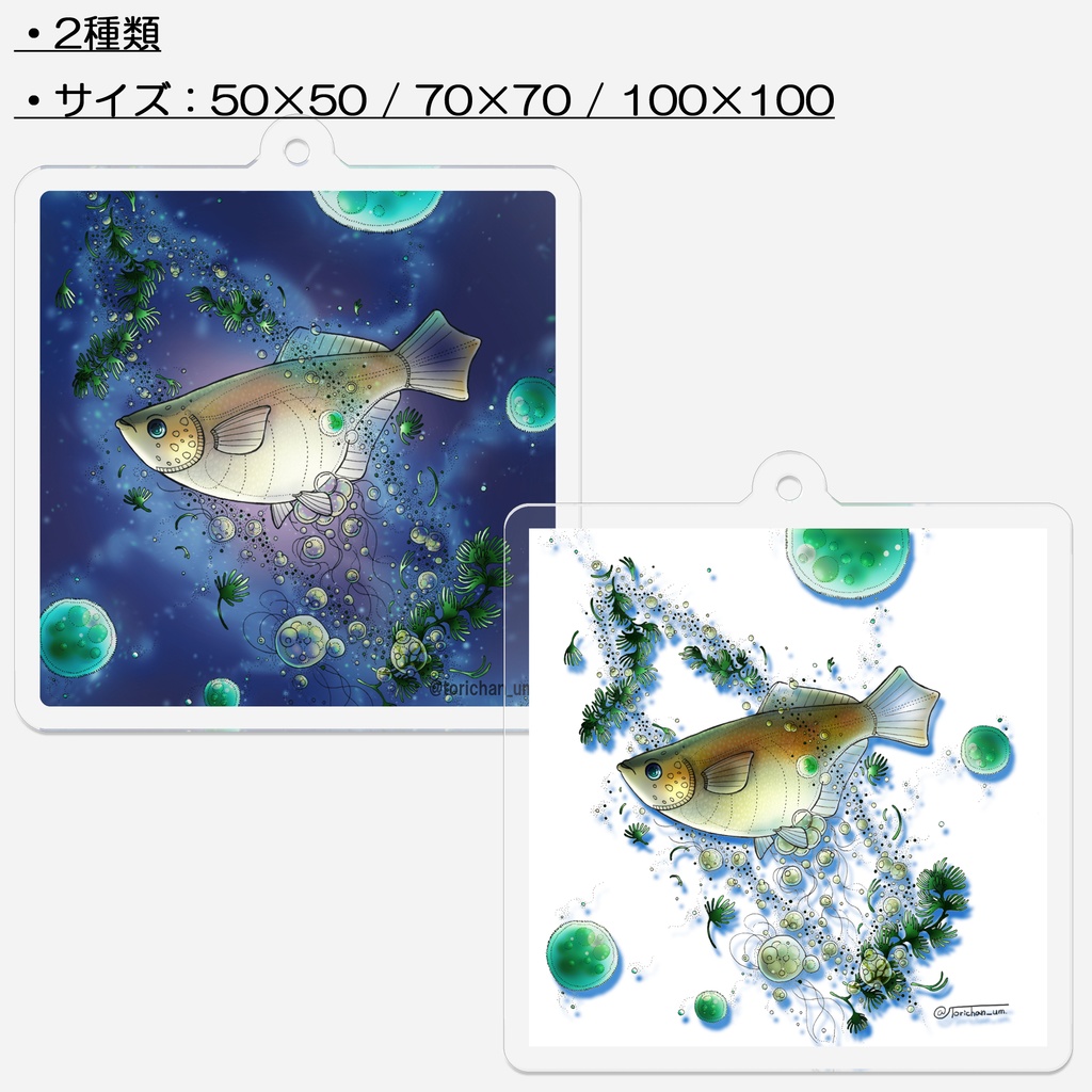 【キーホルダー】めだか宇宙