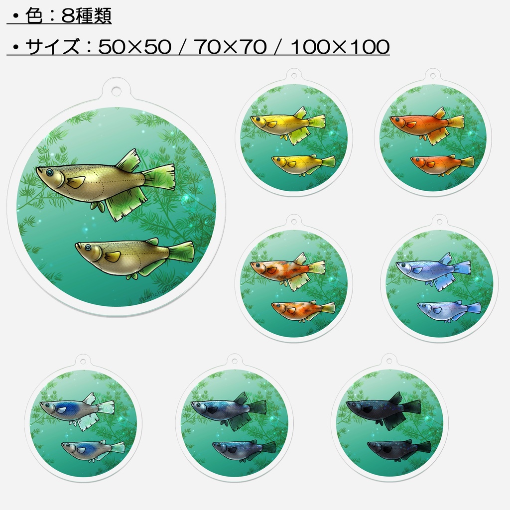 【キーホルダー】めだか