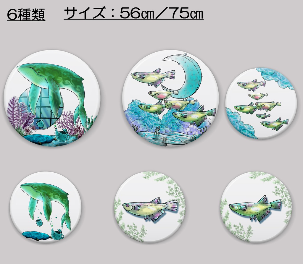 【缶ミラー】アクアリウム①