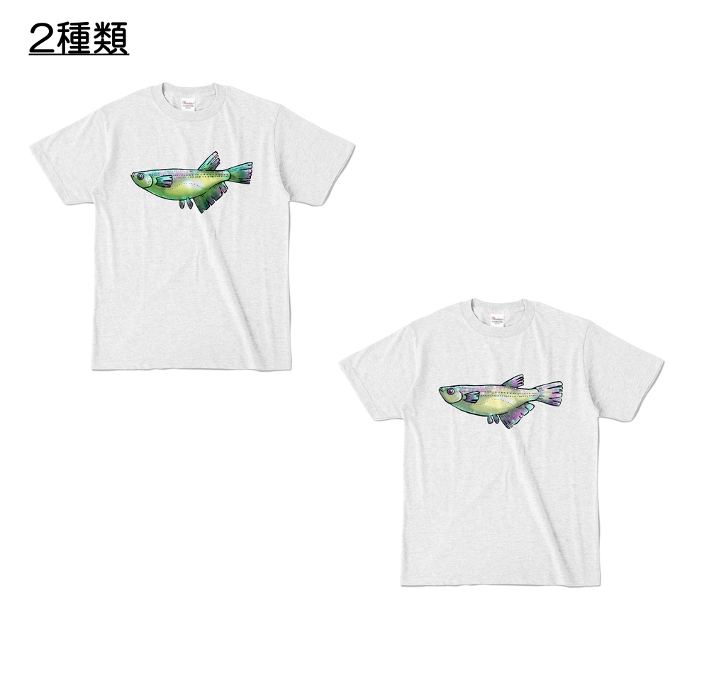 【カラーTシャツ】めだか