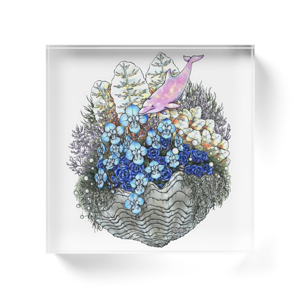 【アクリルブロック】胡蝶蘭とイルカ