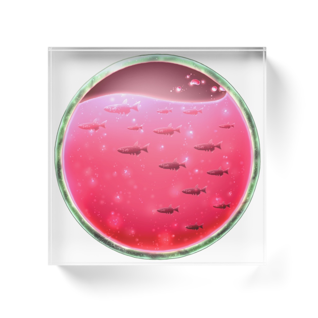 【アクリルブロック】すいか