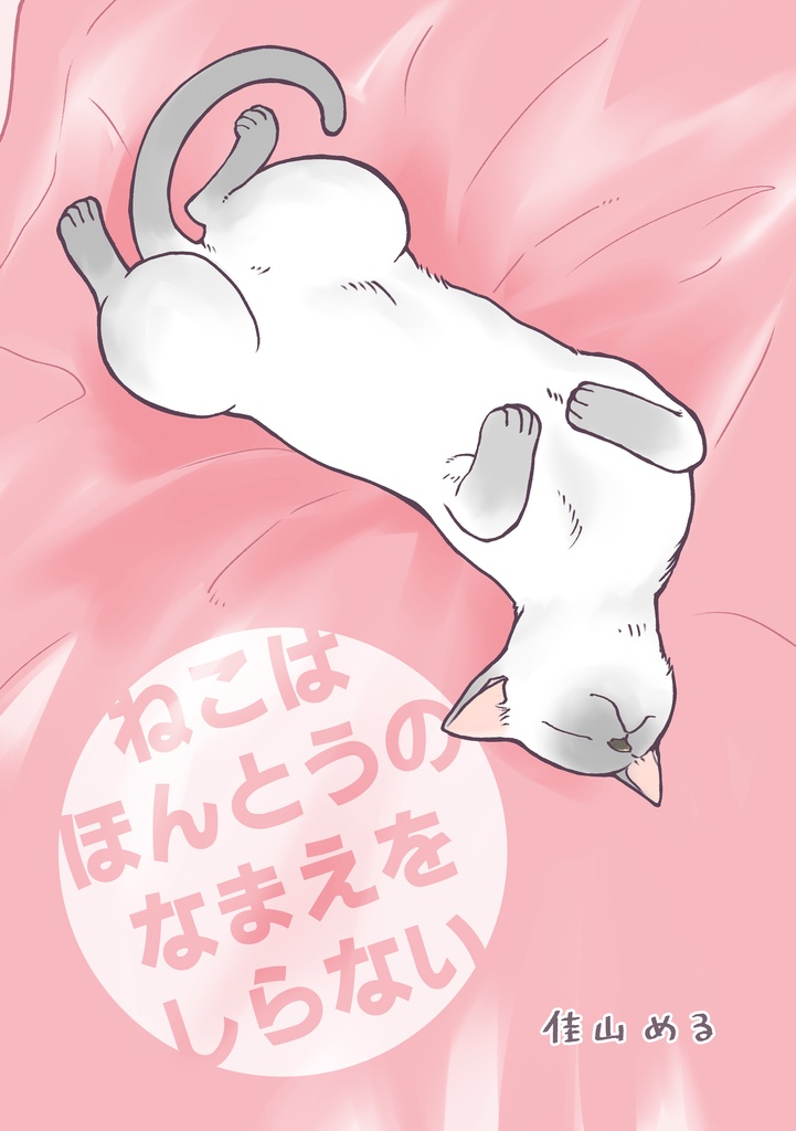 ねこはほんとうのなまえをしらない