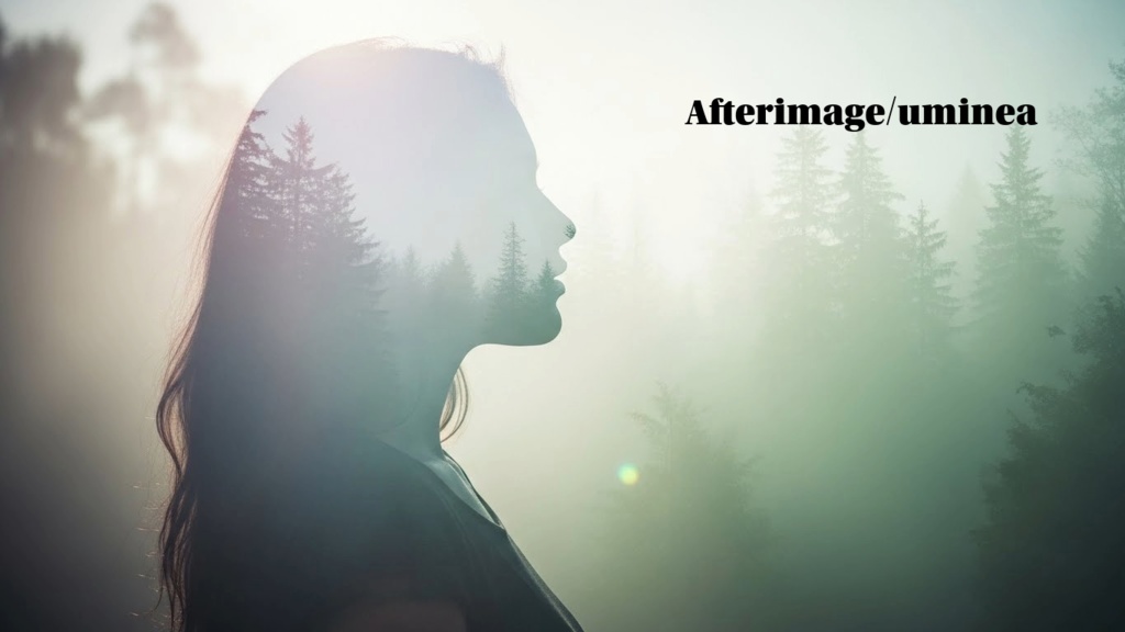 Afterimage【オルタナティヴロック/ポストグランジ/インスト】