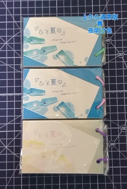 ひと夏の~Practice Cohabitation~