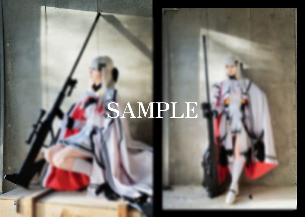 C102新刊「Adler und Rabe」ドルフロStyer小隊コスプレ写真集