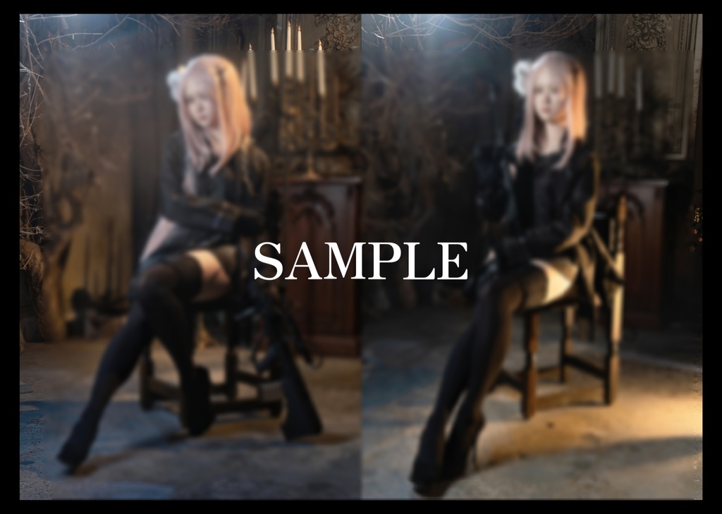 C102新刊「Adler und Rabe」ドルフロStyer小隊コスプレ写真集