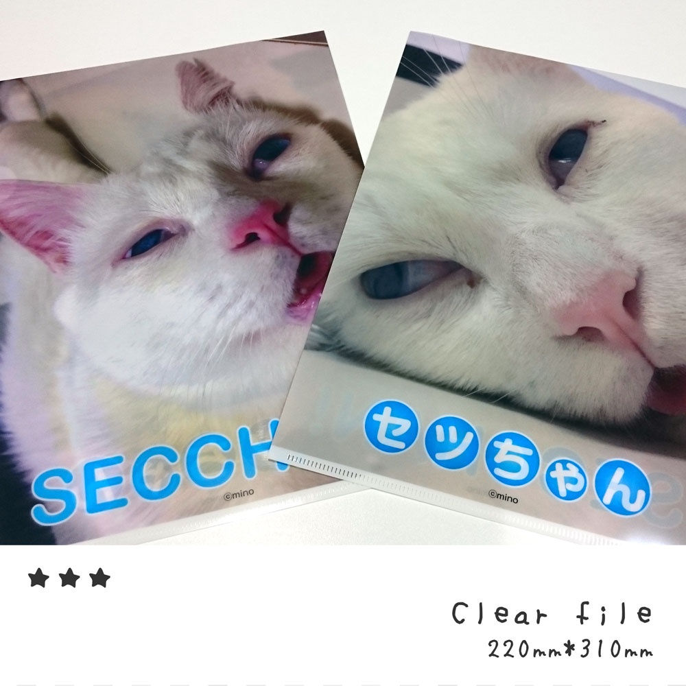 クリアファイル