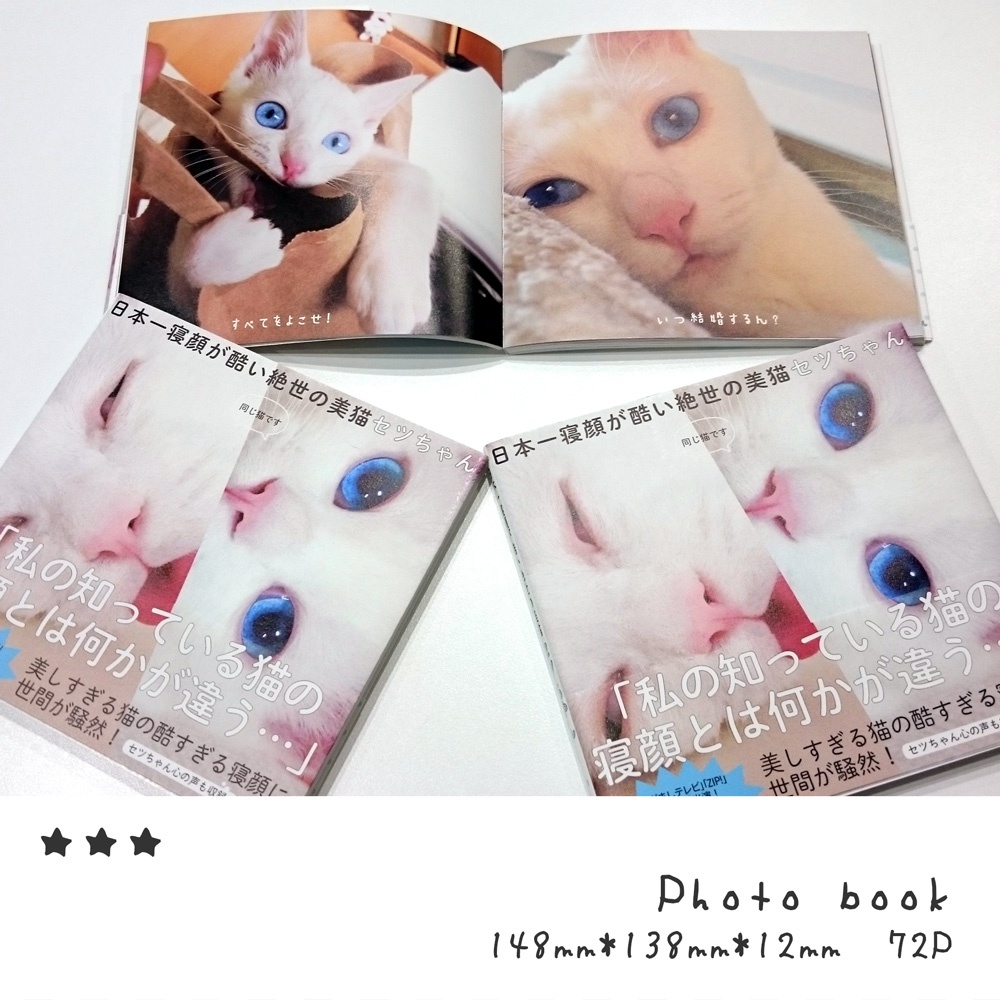 写真集 日本一寝顔が酷い絶世の美猫 Minoris Booth