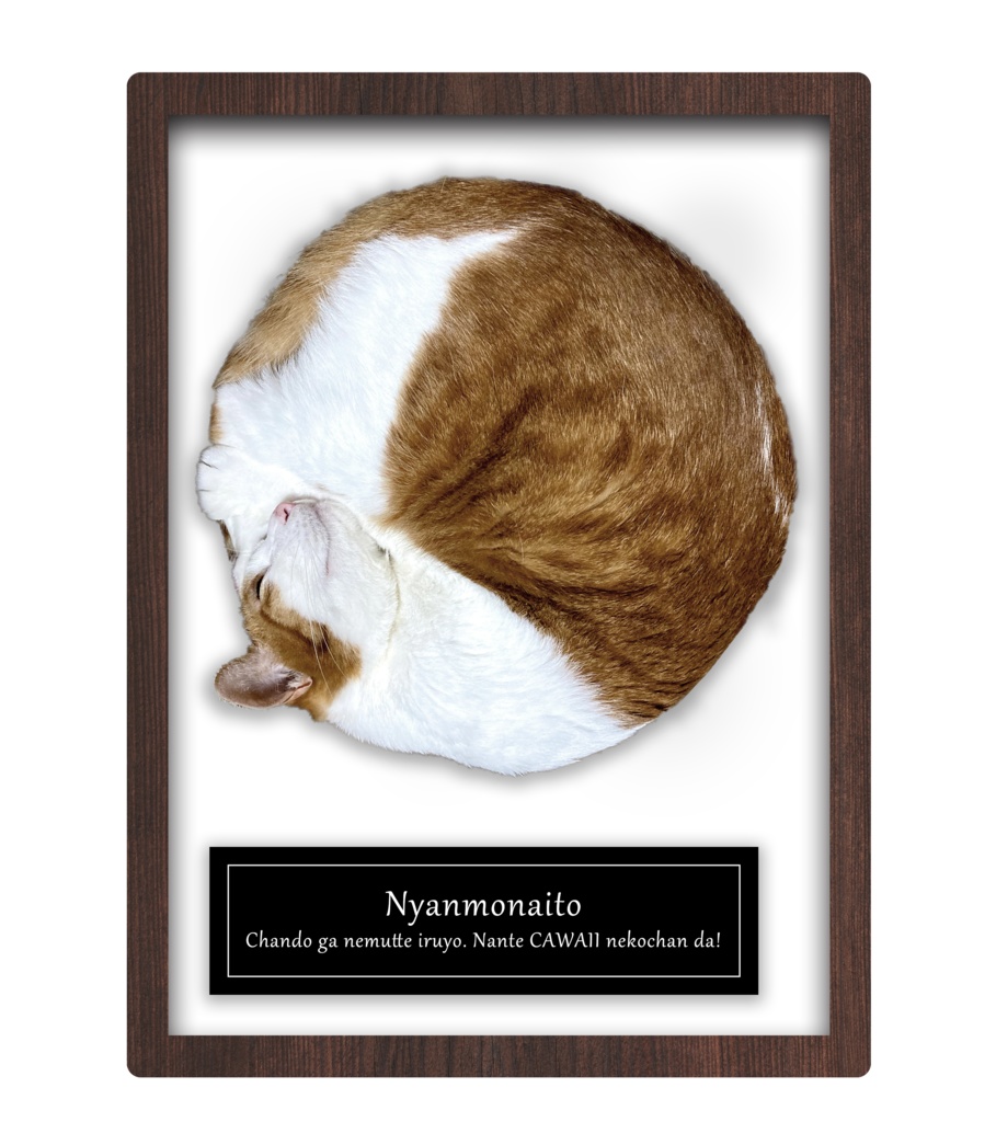 【愛猫】ニャンモナイト標本Tシャツ