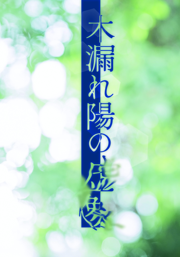 木漏れ陽の虚像