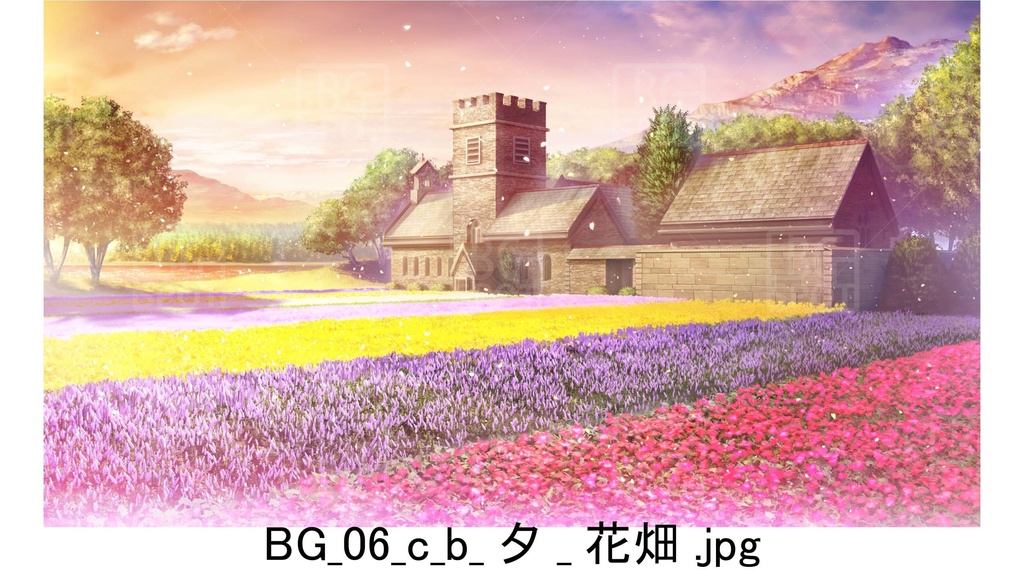 BG06_教会裏の~花畑