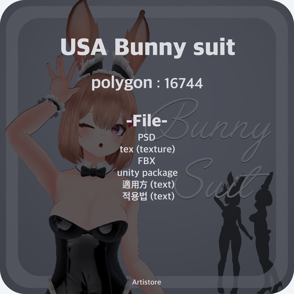 USA Bunny Suit / うさ バニースーツ