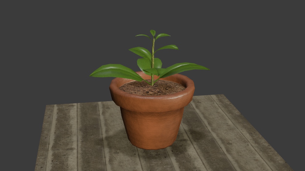 鉢植えの植物