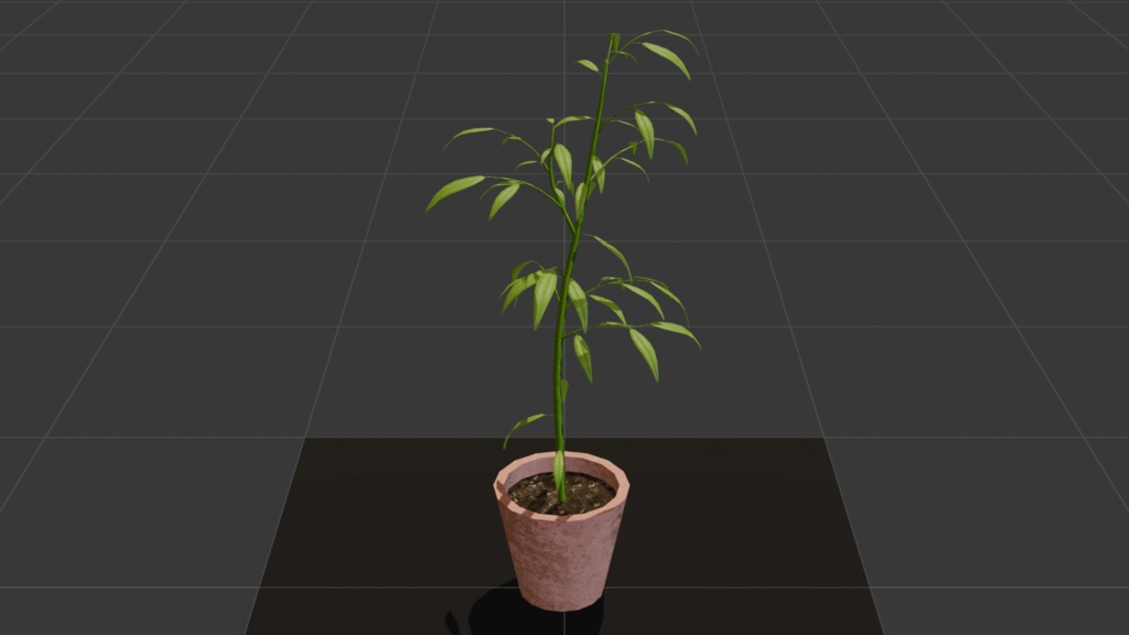 鉢植えの植物