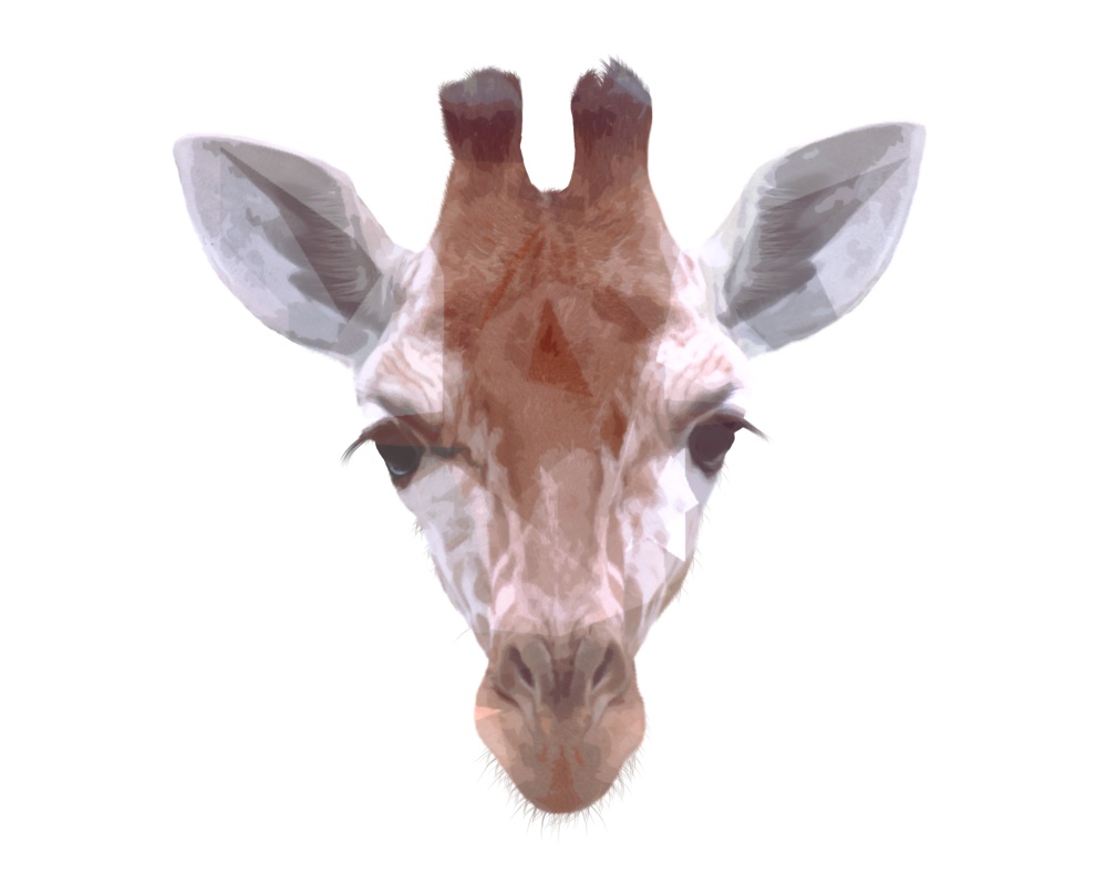 キリンのエコバッグ