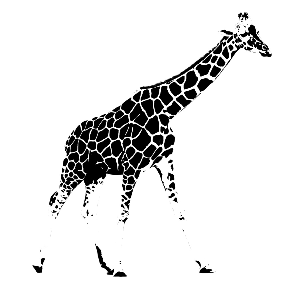 キリンのエコバッグ