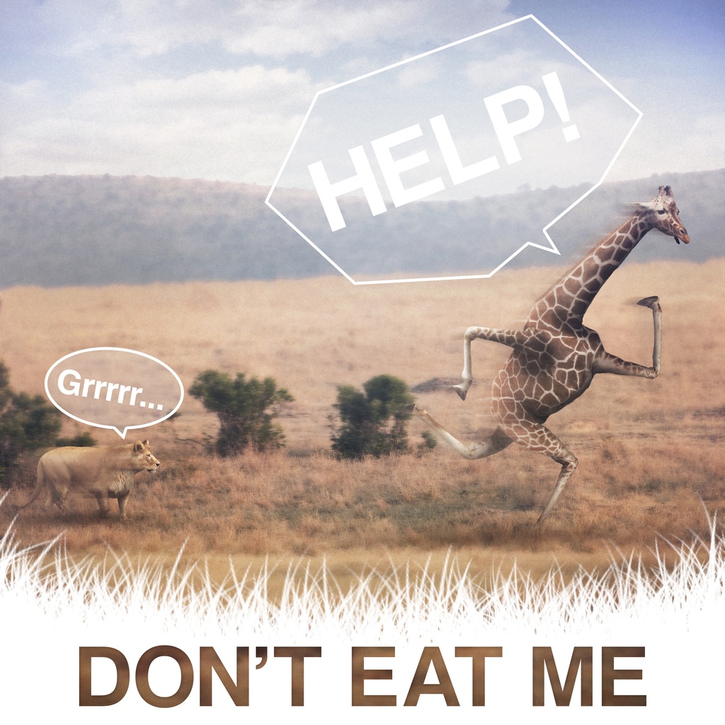 『DON'T EAT ME』エコバック