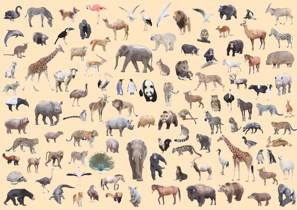 手帳型Androidケース/アニマル