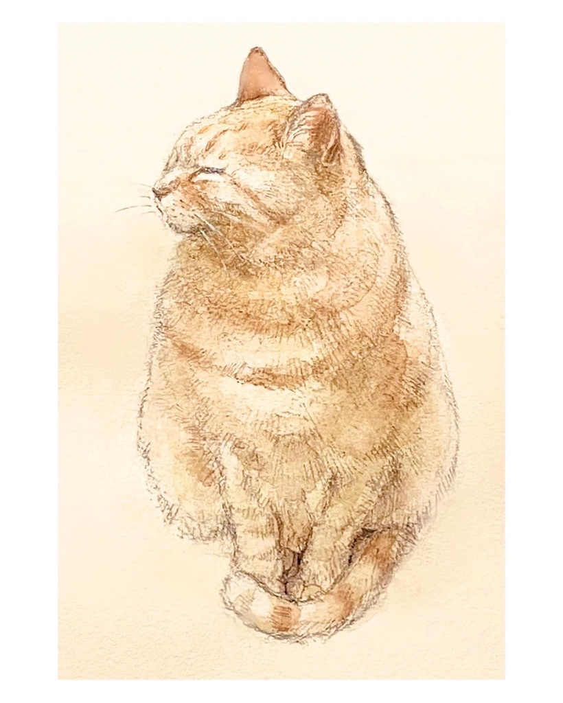 【猫さん似顔絵】SNSアップ・グッズ化なし