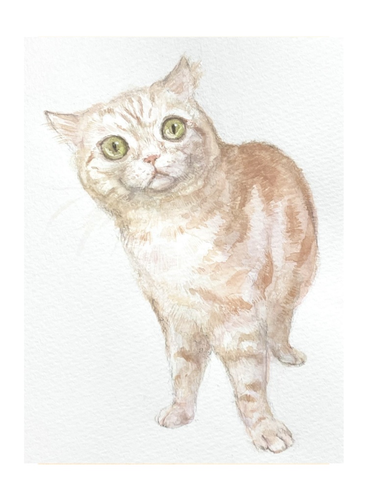 【猫さん似顔絵モデル】応募方法