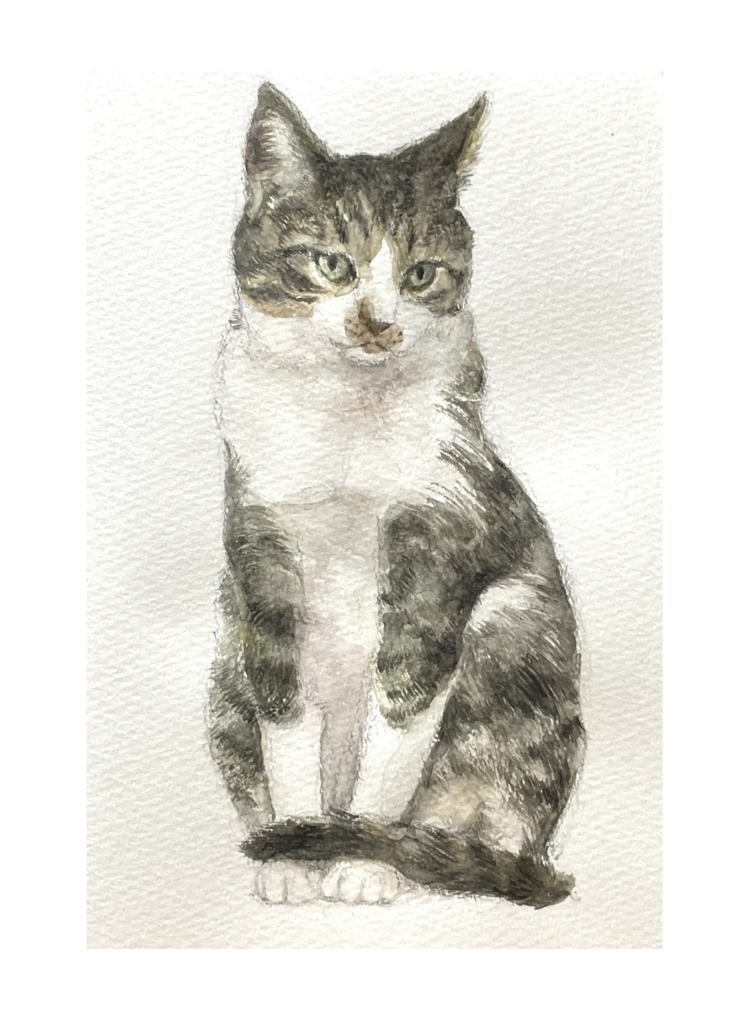 【猫さん似顔絵モデル】応募方法