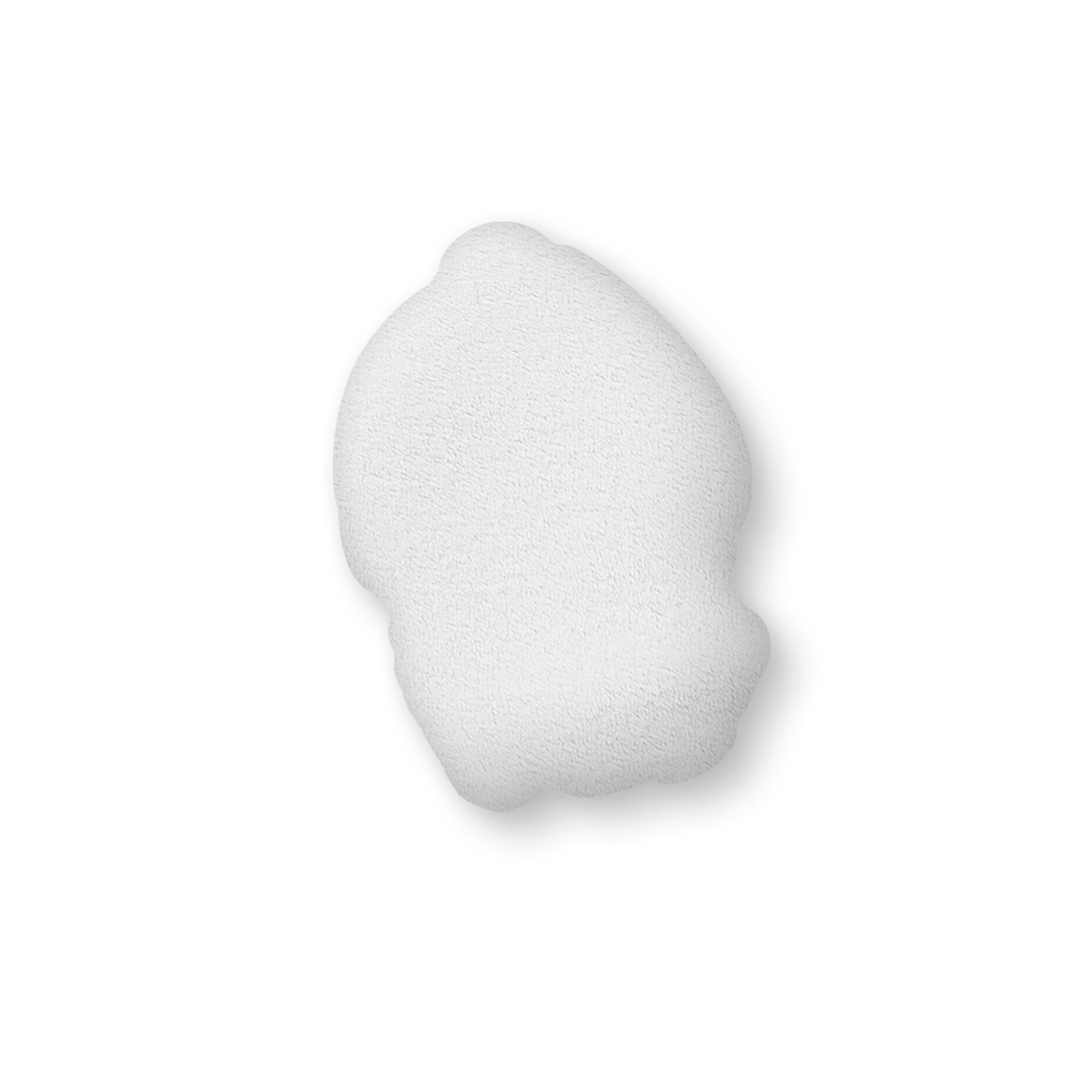 たわしちゃんふかふかクッション 新衣装Ver