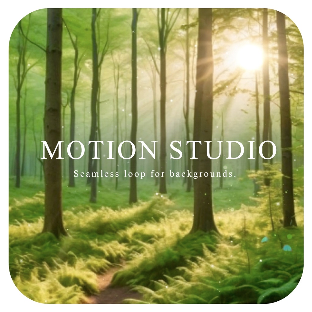 日差しの差し込む林 動画素材