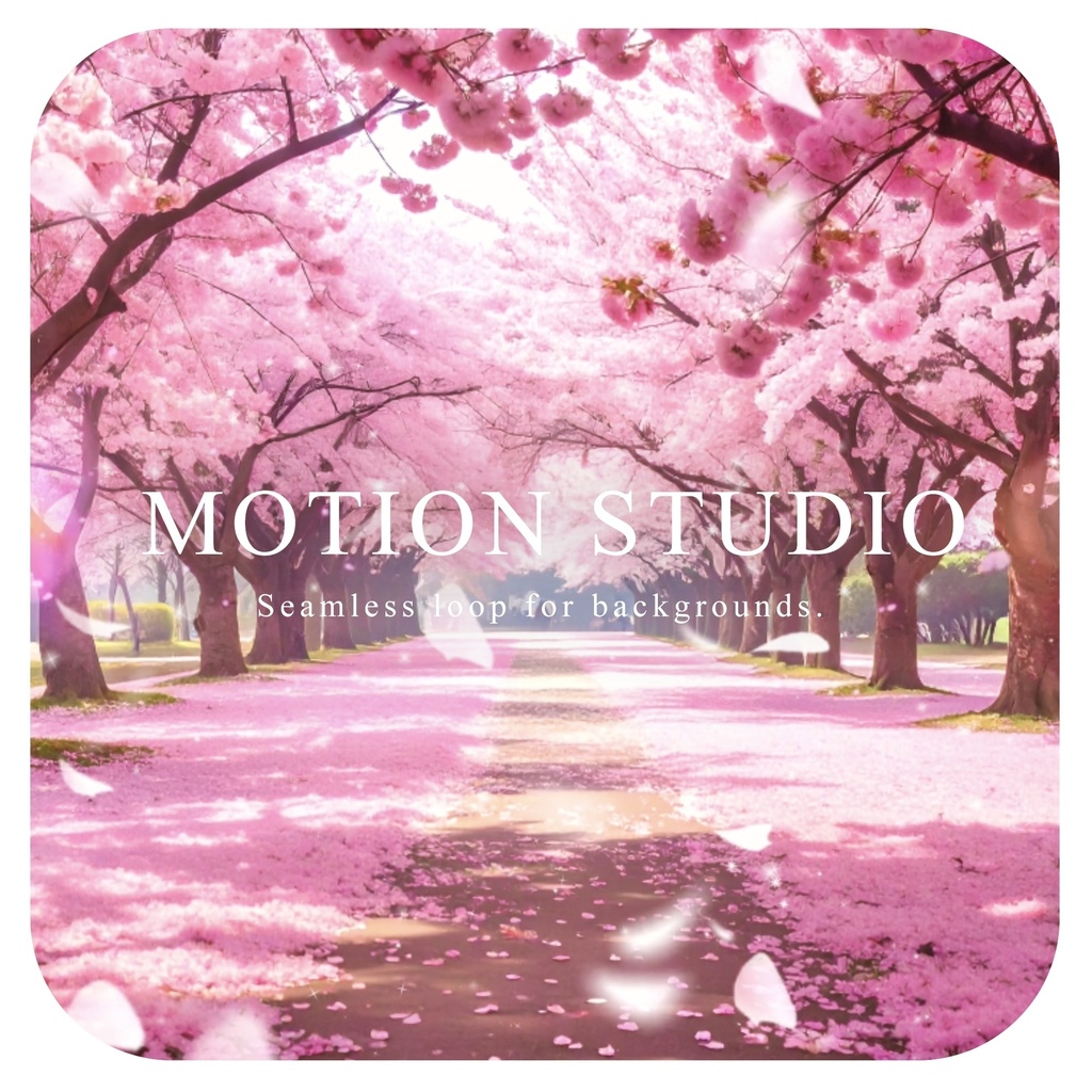 満開の桜 動画素材