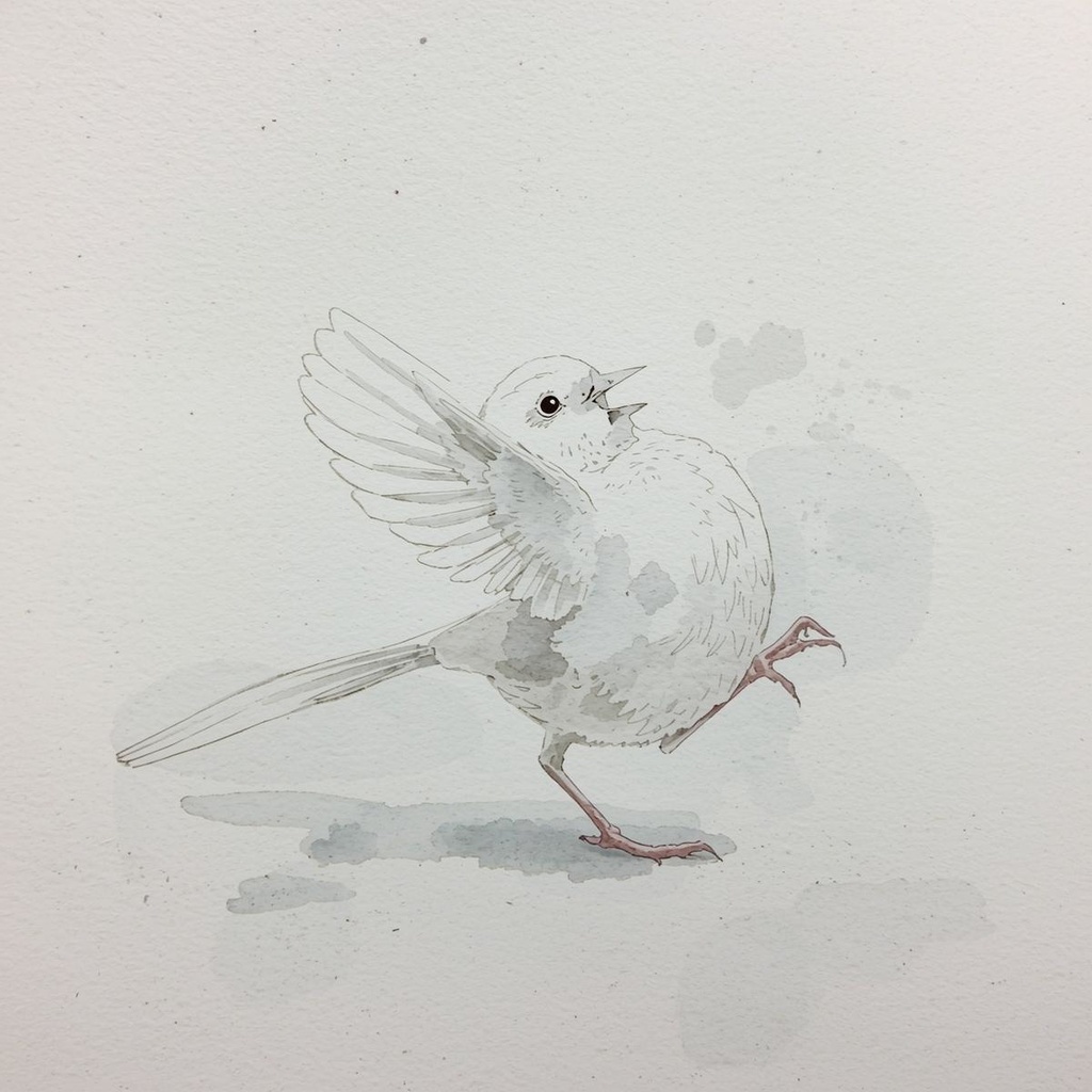 水彩画風*白文鳥の可愛いクリップアート10種類セット(PNG透過)