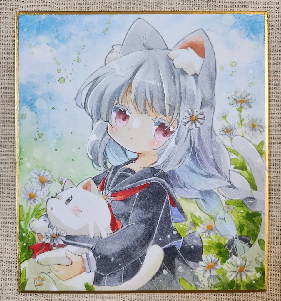 色紙原画:白菊