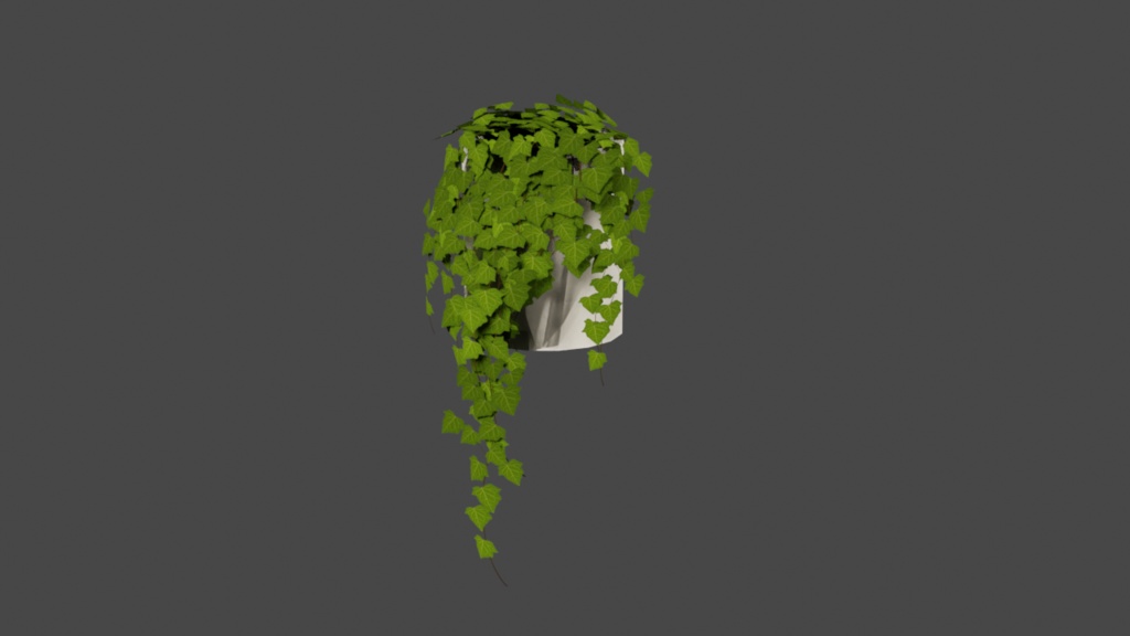 【3種類】観葉植物