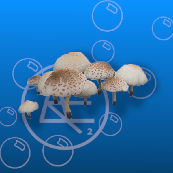 Free Mushroom Patch Prefab