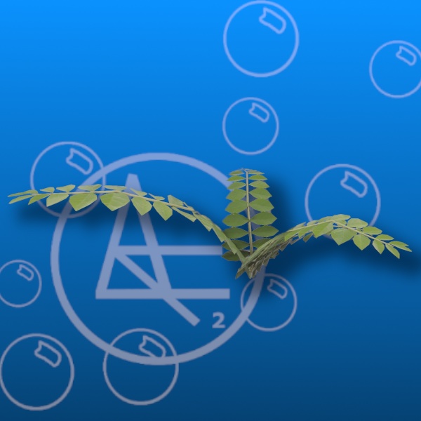 Free Fern Prefab