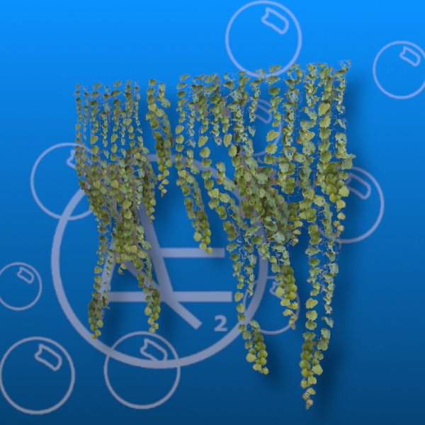 Free Wall Ivy Prefab