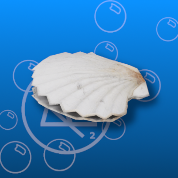 Free Sea Shell Prefab