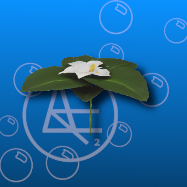 Free Flowering Plant Prefab