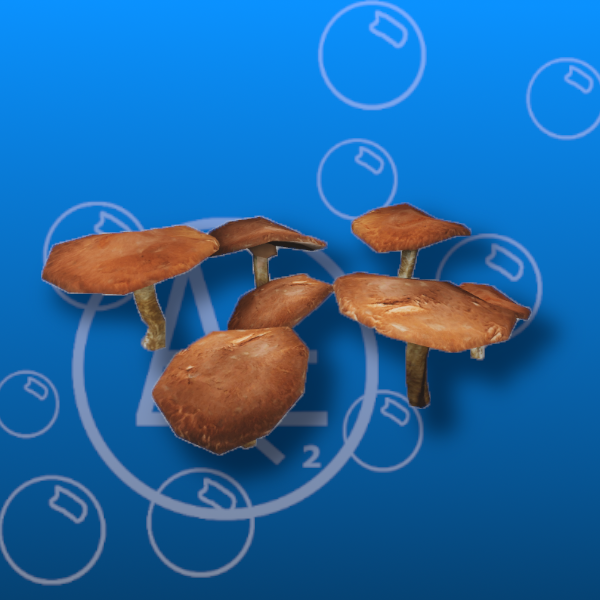 Free Mushroom Patch 2 Prefab