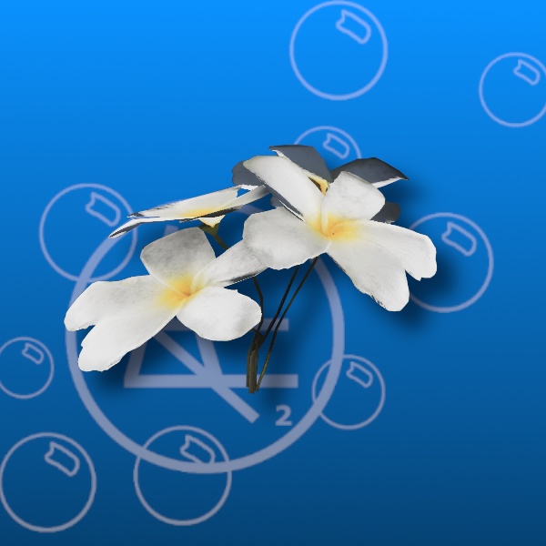 Free Plumeria Plant Prefab