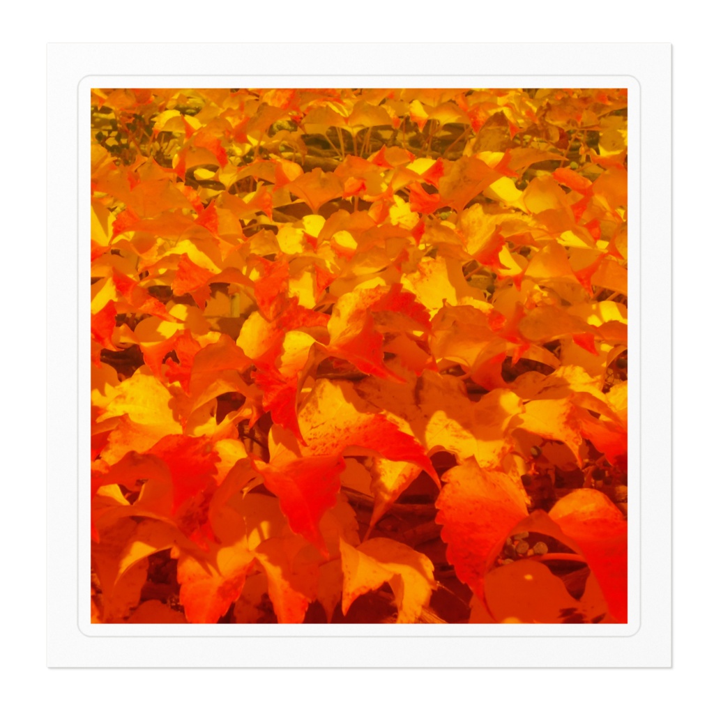 ステッカー—紅葉1